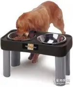当你想养一条大型犬，请务必先考虑以下几种情况
