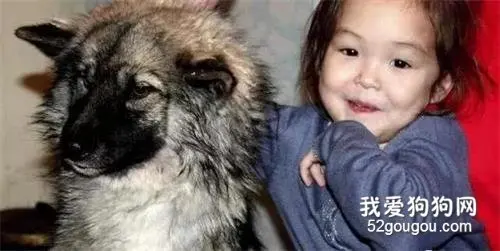 俄罗斯三岁女孩和爱犬失踪，三周后小狗独自咬着女孩的发带回来…