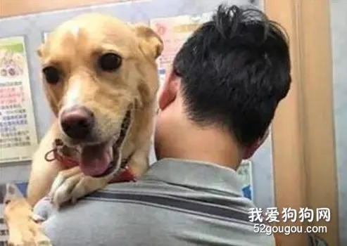 小三坐副驾，直勾勾盯着“情人”，眼神甚是暧昧…