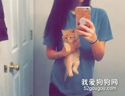 两年前它还是一只毛绒绒的小可爱，合起照来也轻松，2年后！