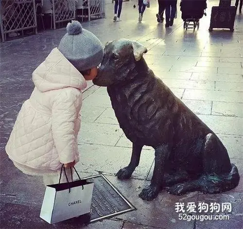 流浪狗之镇：为了一条狗，这里的人努力了半个世纪……