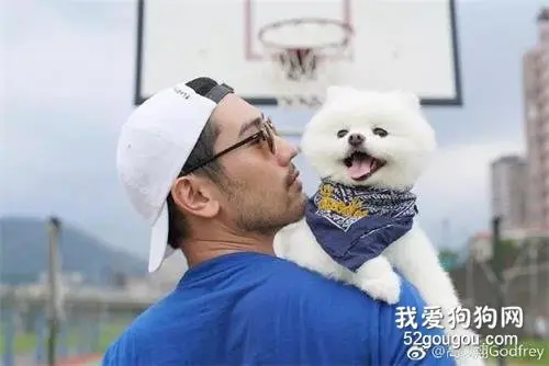 这个温柔的大男孩走了，但他的狗狗却还在等爸爸回家……
