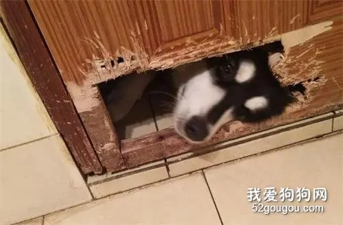 上厕所的时候感觉屁股凉凉的，低头一看……