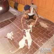 小哥身无分文，却用这种温暖的方式帮助全城的流浪猫！