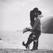 网友跟女朋友拍合照，阿柴一个举动，让全网友都心疼它！