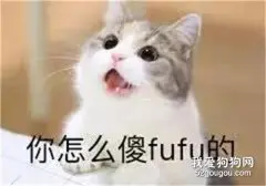 决定养布偶猫前要了解它的优缺点