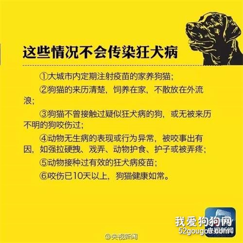 被家里的狗狗咬破皮了怎么办 需要注射狂犬疫苗吗