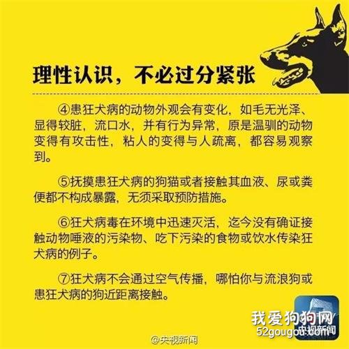 被家里的狗狗咬破皮了怎么办 需要注射狂犬疫苗吗