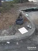 很干净的小狗被拴在大号垃圾桶边，面前纸条写着“我是免费送的”