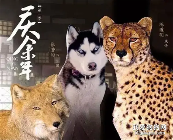《庆余年》里的范闲竟然长这个样...笑出狗叫声