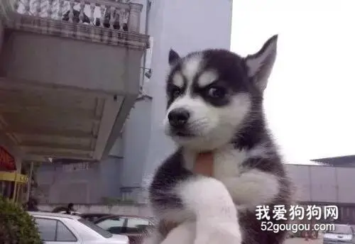 带前男友去绝育，还嘲笑ta尿床，这操作...