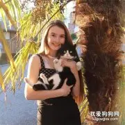 少女到收容所做义工，竟遇到失散3年的爱猫，真是好人有好报啊！