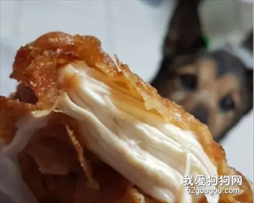 主人以为悄悄关灯吃鸡排，就不会被狗子发现，结果他还是太年轻了！