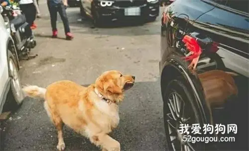 “神秘嘉宾”现身婚礼现场，新娘看后瞬间泪崩……