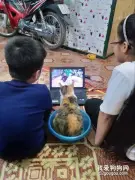 这猫乖乖的和孩子们一起看剧，居然还有自己的专用座，笑屎！