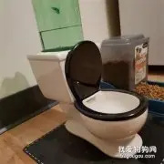 猫喜欢喝马桶水，于是给它买了个迷你马桶饮水器后，猫都懵了！网友：形状像但味不对！！