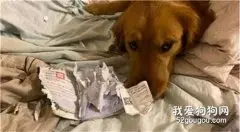 护照变成碎纸片：妈妈，看你这下往哪跑！