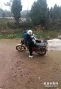 带狗子回老家过年，爸爸非要骑车带它去逛街，结果回来时都被吓尿裤了！