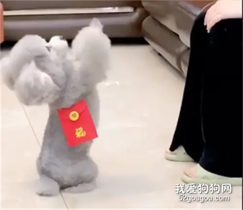 一个没有感情的讨钱机器，过年红包就靠它了！