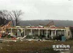 龙卷风袭来的那天，狗狗突然不见了……