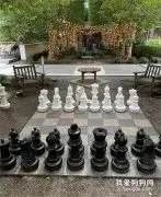 下国际象棋少了一个棋子，网友让萨摩来当，毫无违和感！