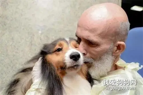 爷爷患病不见好转，却与爱犬相见后重获希望，爱犬是过世老伴所留