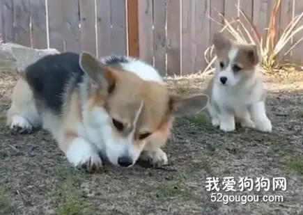 母爱的伟大就在于，熊孩子再折腾也不生气！