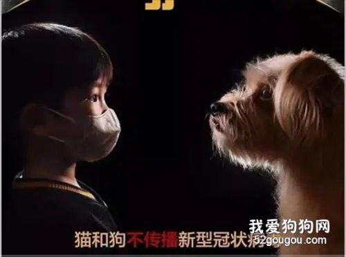 当众虐杀狗是国策？狗血馒头好吃吗？