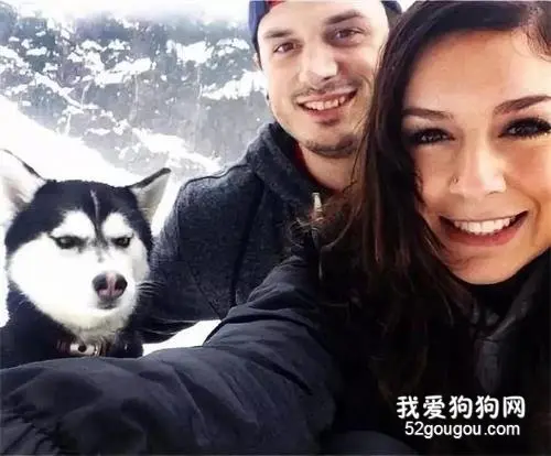 铲屎官情人节脱单后，二哈抑郁了……