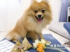 狗狗能吃山药吗 完全可以的！