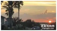 天空挂着一朵“狗狗云”，引来无数狗主的赞叹，这些云彩太可爱了