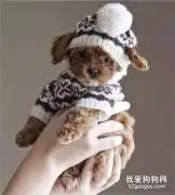 有一种冷叫你妈觉得你冷，还有一种冷叫主人也觉得你冷