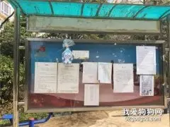 小区公告牌上挂着一个布偶，网友好奇上前一看，结果被上面的字笑喷了！