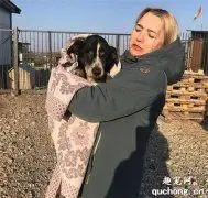 18岁狗狗在梦中安然离世，主人含泪将它下葬，没想到狗狗竟扒土求生……