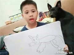 小主人给狗子画了一幅画，它看到后的表情，满头问号！