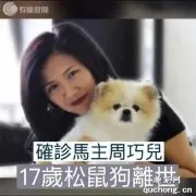这只狗狗在隔离17天，经历9次检测后，去世了…