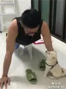 每做一下俯卧撑，便能得到毛孩子的香吻一枚！