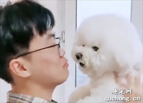 大型“狗仗人势”翻车现场，笑到喷饭，慎点