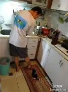 狗子从小就很贪吃，8岁后主人拿它的对比照，网友：大小也差太多吧！