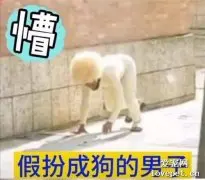 一段“主人用无人机遛二哈”的视频，引来数万人关注…