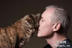 猫喜欢什么人 教你讨猫咪的欢心
