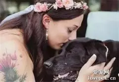 教你如何成为一名合格的狗主人