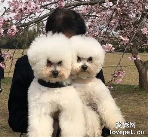 妈妈抱VS爸爸抱，差别也太大了...