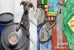 小学生帮流浪狗画肖像，虽然画风很抽象，但狗全被顺利领养！