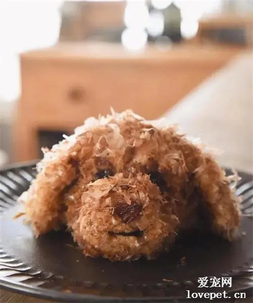铲屎官按照爱犬的形象做了个饭团，而网友看到真狗时惊呆了...