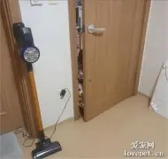 网友在房间里，几只狗子好奇的叠在门缝隙边看着，笑喷了！