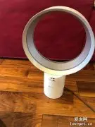 养猫之后，才发现无叶电风扇还有这种用处，猫都乐了！