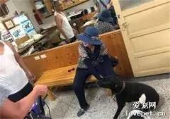 狗子以为去散步，结果被主人骗到医院打针，瞬间跌坐在地上，笑喷了！