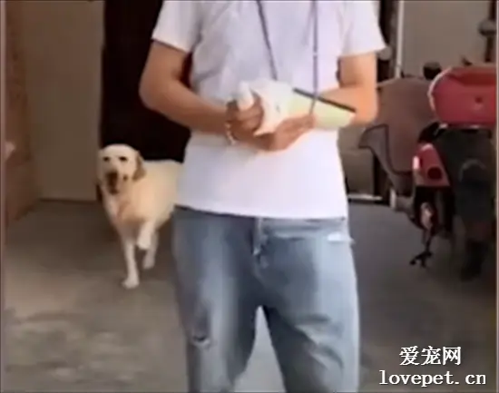 “兄弟，你别当真，这狗不是学的你！”