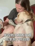 狗子和女友自拍超开心，而看见男主回来后它...太真实了